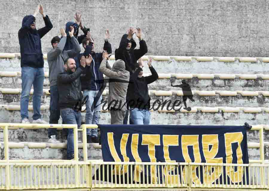 tifosi viterbese