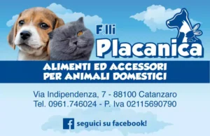 banner-placanica