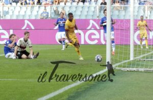 Autogol Gartenmann
